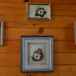Lodge Alpika