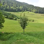 Alpika Luce