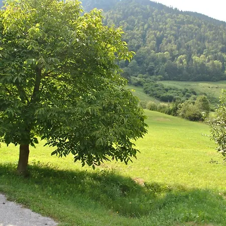 Studio Alpika Lodge Luce