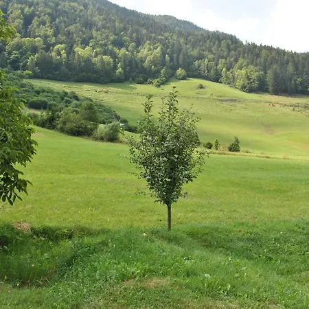 Alpika Luče