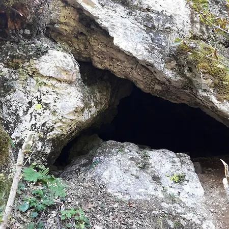 Alojamento de Turismo Selvagem Alpika